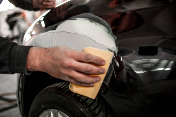 Best Mold Documentation for Insurance Claims  in Mount Carmel, TN