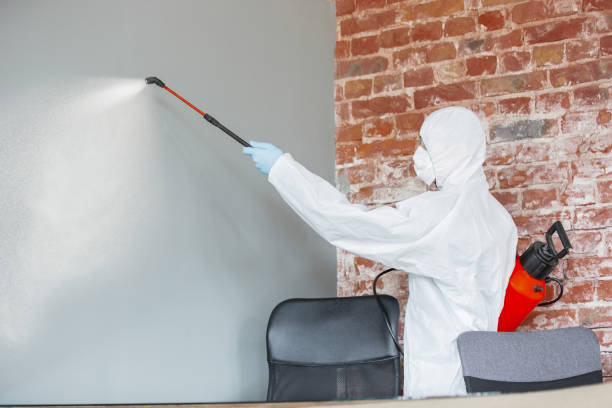 Best Asbestos and Lead Testing During Mold Inspection  in Mount Carmel, TN