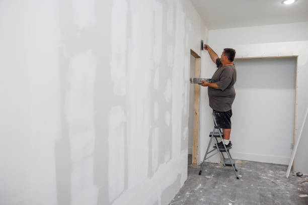 Best Post-Construction Mold Inspection  in Mount Carmel, TN