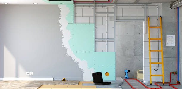 Best Forensic Mold Investigation  in Mount Carmel, TN