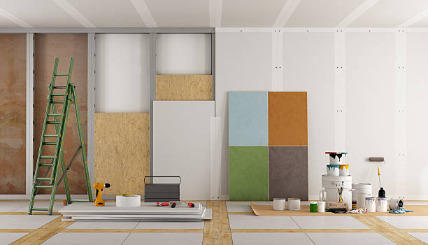 Best Basement Mold Removal  in Mount Carmel, TN