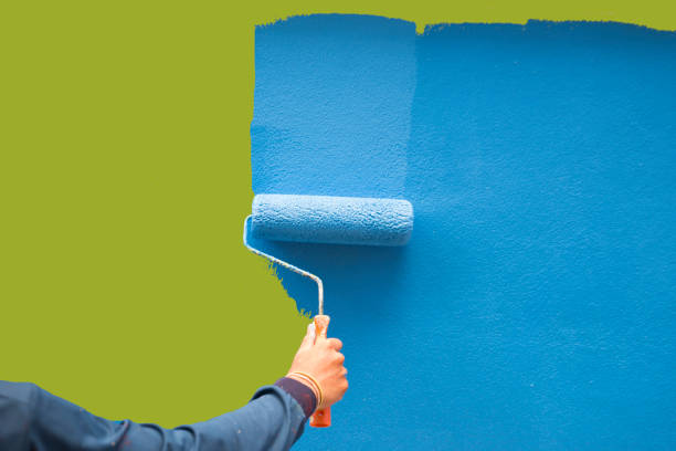  Mount Carmel, TN Mold Removal Pros